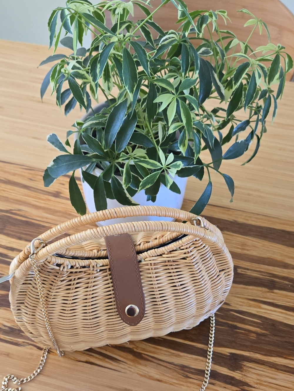 JCREW Woven Straw basket bag Round with gold chain NWT